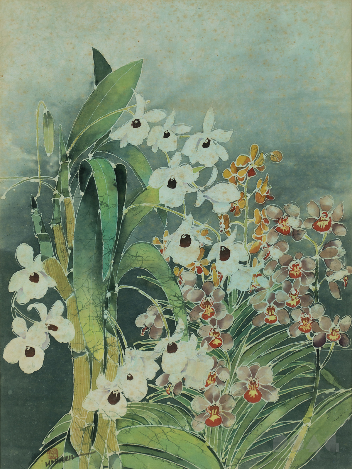 Dendrobium and Vanda