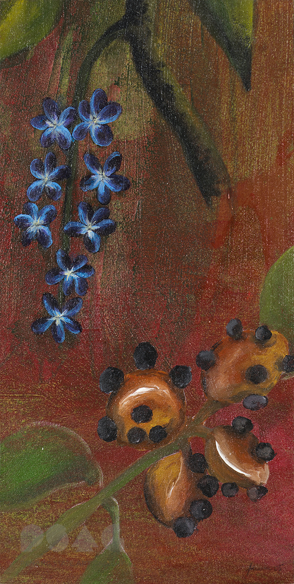 Fruits and Flowers 1