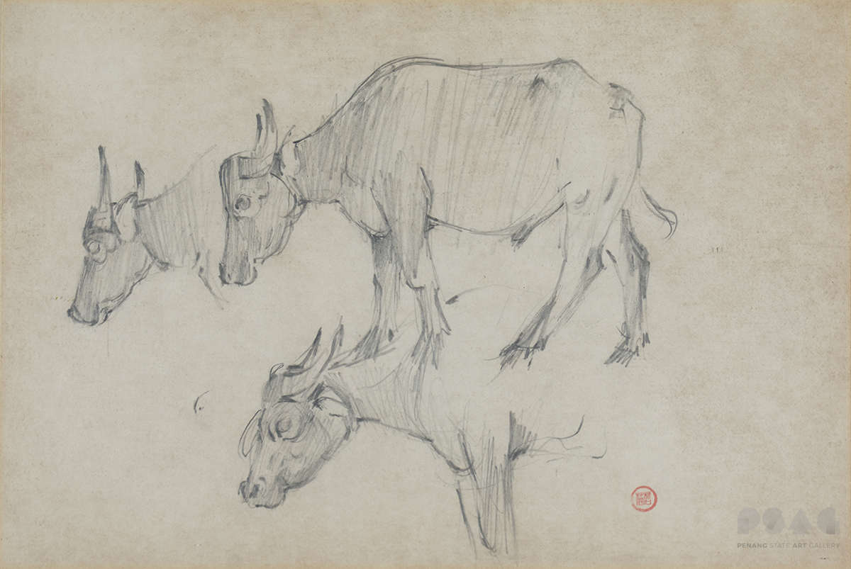 Study of 3 Cows