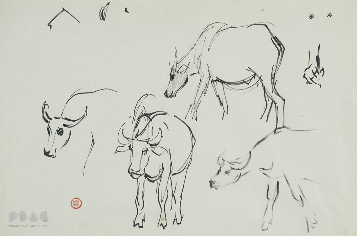 Study of Four Cows