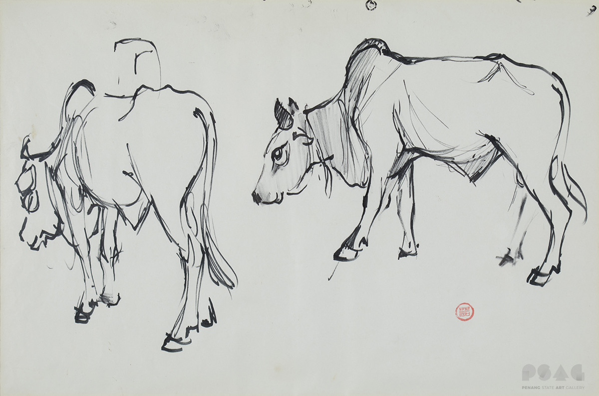 Study of Two Cows