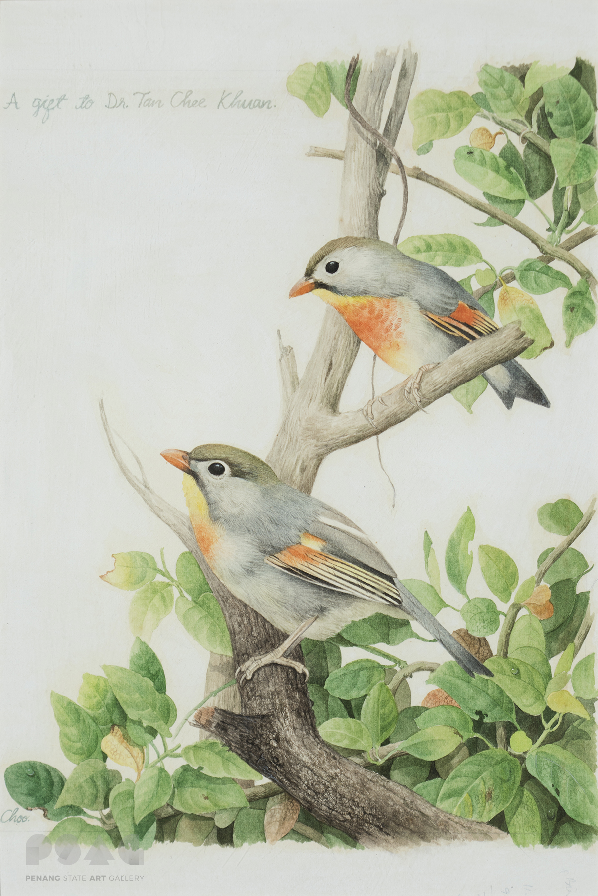 Two Birds On A Tree