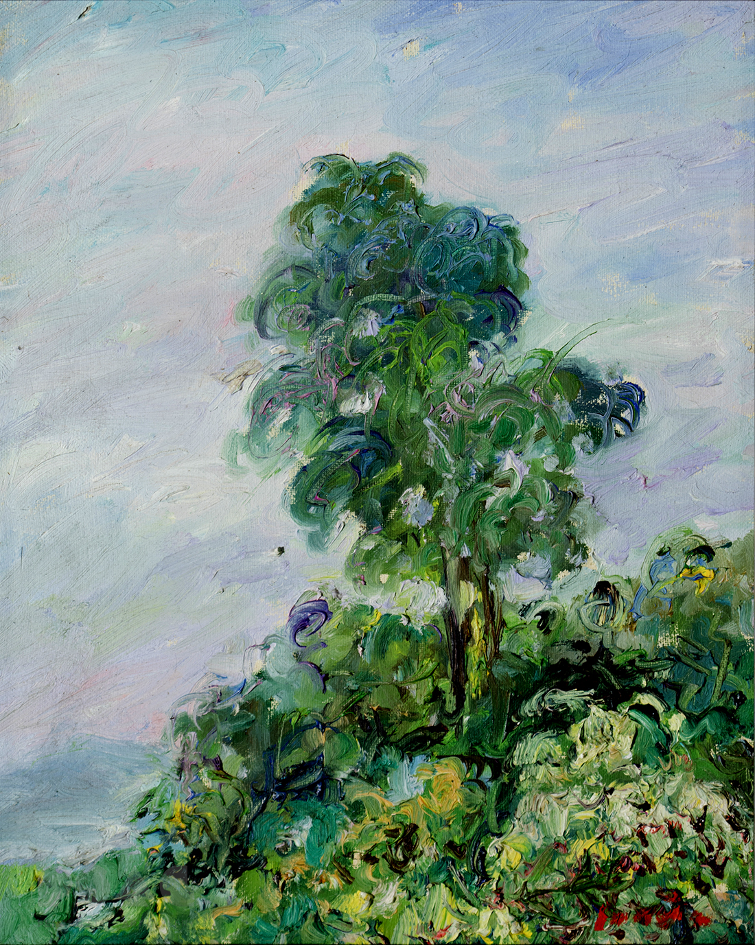 Tree On A Hill