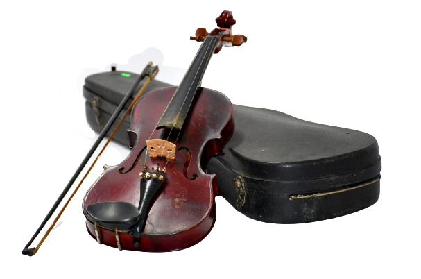 Violin sekali case